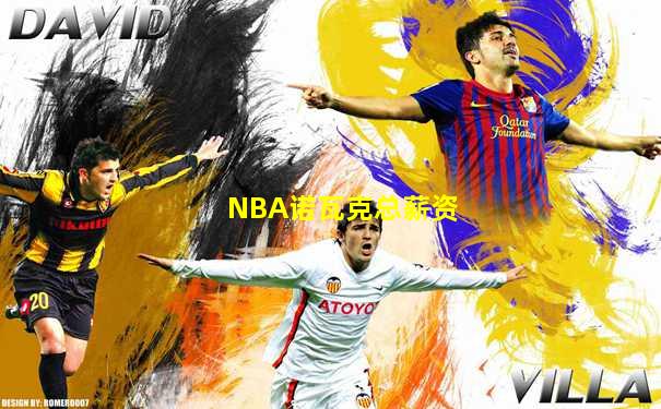 NBA诺瓦克总薪资