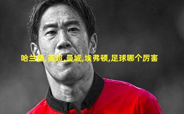 哈兰德,英超,曼城,埃弗顿,足球哪个厉害