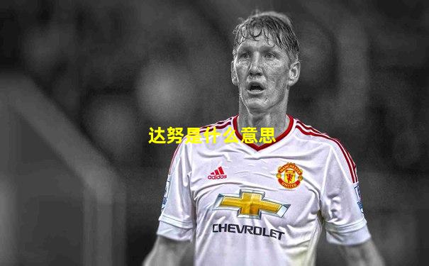达努是什么意思