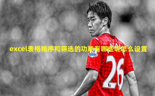 excel表格排序和筛选的功能有哪些呢怎么设置