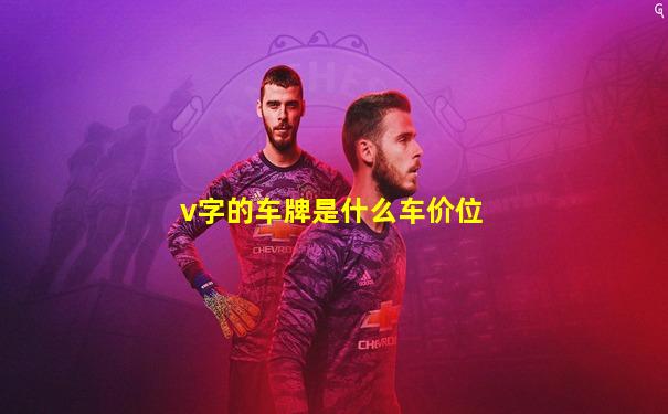 v字的车牌是什么车价位