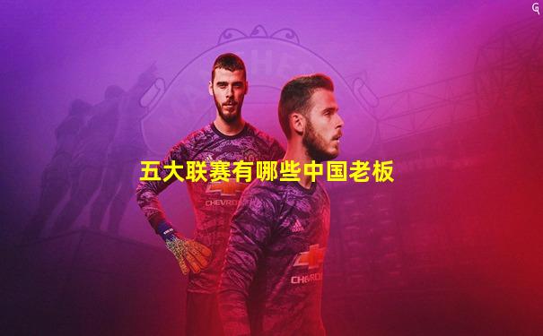 五大联赛有哪些中国老板