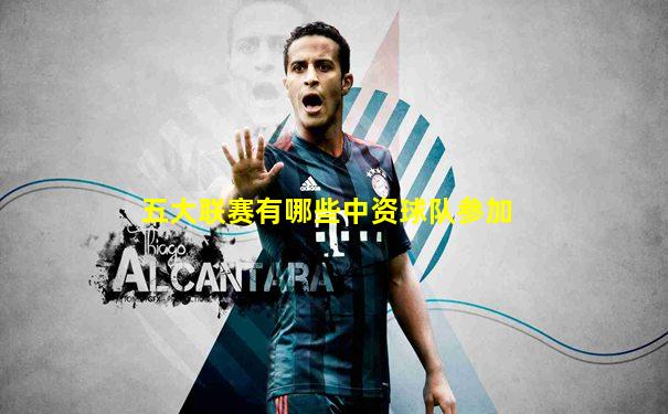 五大联赛有哪些中资球队参加