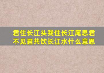 君住长江头我住长江尾思君不见君共饮长江水什么意思