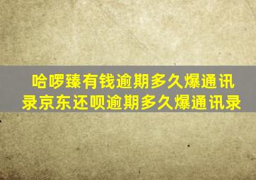 哈啰臻有钱逾期多久爆通讯录京东还呗逾期多久爆通讯录