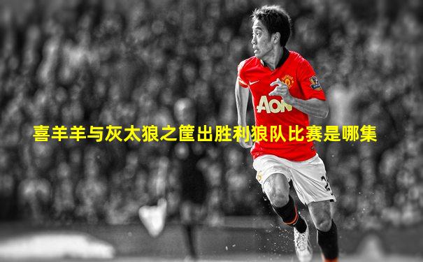 喜羊羊与灰太狼之筐出胜利狼队比赛是哪集