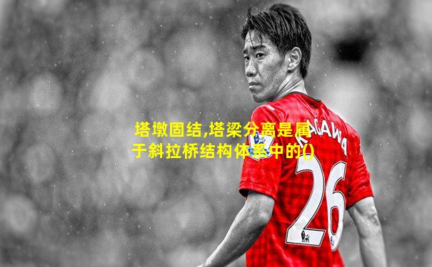 塔墩固结,塔梁分离是属于斜拉桥结构体系中的()