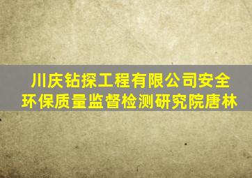 川庆钻探工程有限公司安全环保质量监督检测研究院唐林