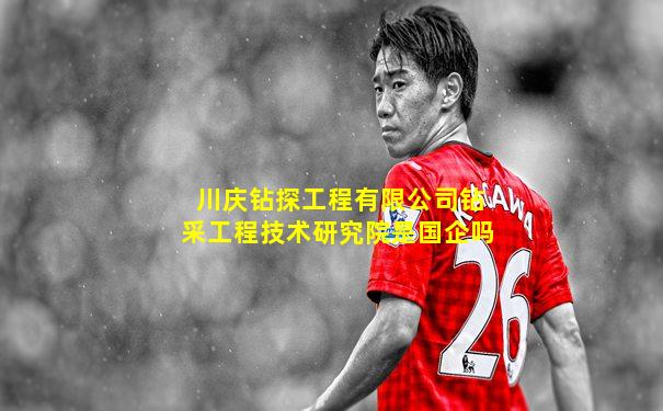 川庆钻探工程有限公司钻采工程技术研究院是国企吗