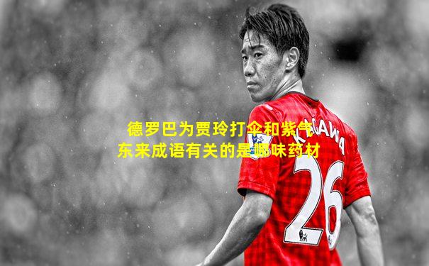 德罗巴为贾玲打伞和紫气东来成语有关的是哪味药材