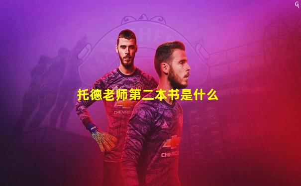 托德老师第二本书是什么