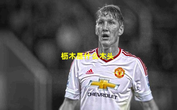 枥木是什么木头